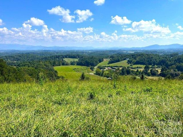 Farm for sale in Leicester, Buncombe County