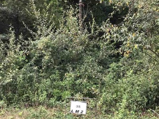 Land for sale in Dubois, Indiana