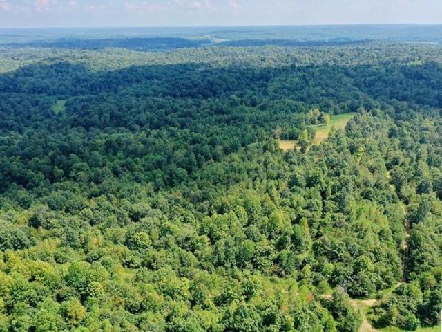 Farm for sale in Princeton, Kentucky
