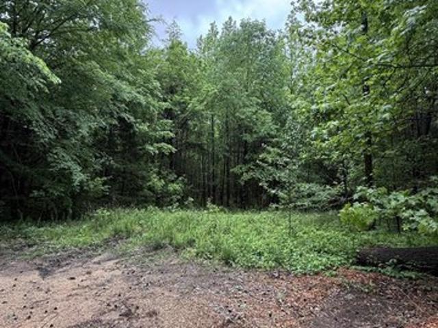 Land for sale in Tennessee