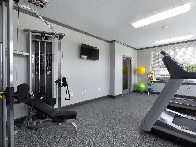 Apartment for rent in Louisville