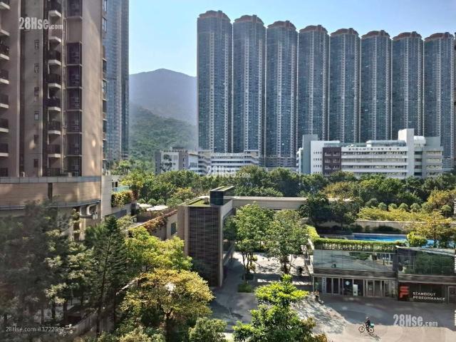 提供 出售 的物件。