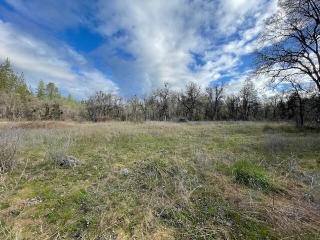 Land for sale in Shasta, California
