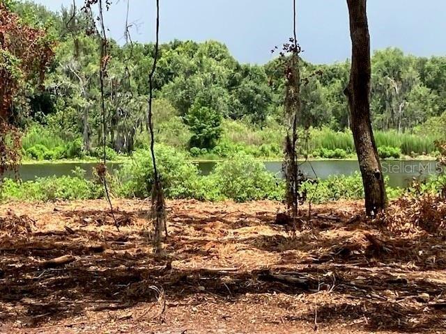 Land for sale in Odessa, Pasco County