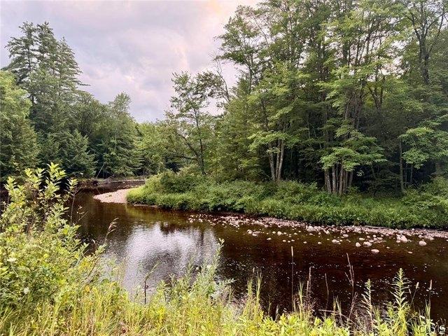 Land for sale in Brantingham, New York