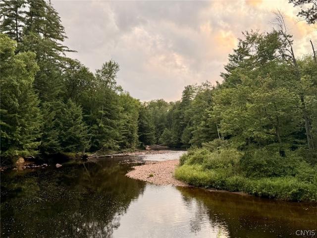 Land for sale in Brantingham, New York