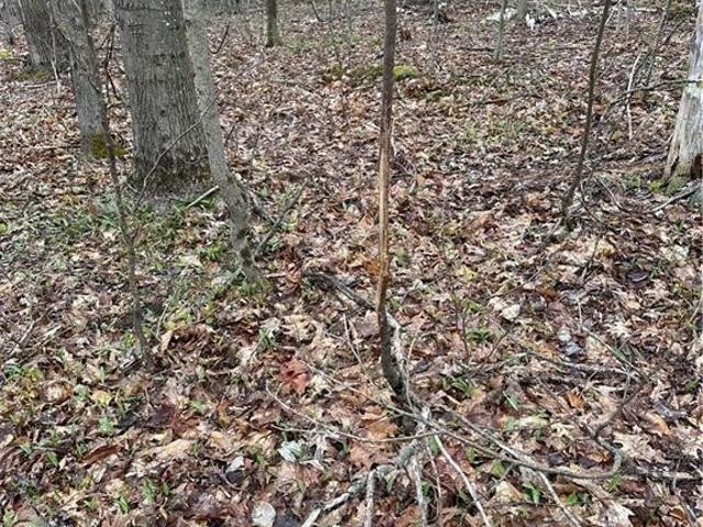 Land for sale in Russell, New York