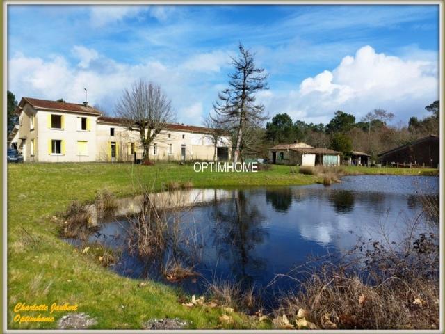 Château vente à Blaye, Donnezac
