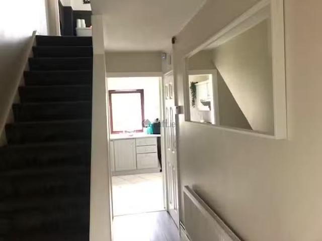 House to rent