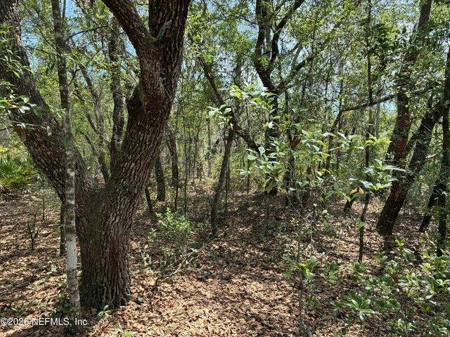 Land for sale in Interlachen, Putnam County