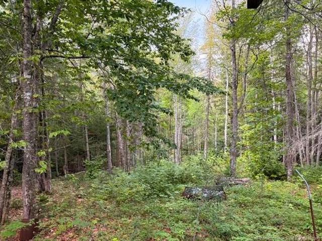 Land for sale in Albert, New Brunswick
