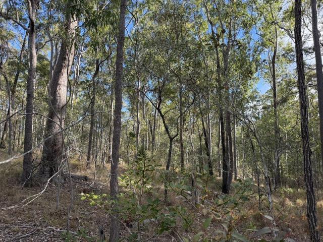 Land for sale in Glenwood, Fraser Coast Regional