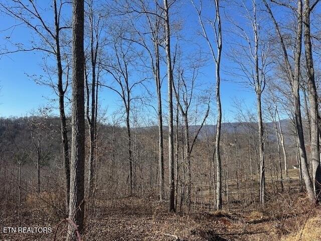 Land for sale in Virginia