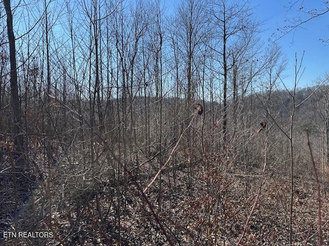 Land for sale in Virginia