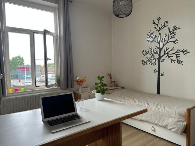 Kamer location à Courtrai, West-Vlaanderen