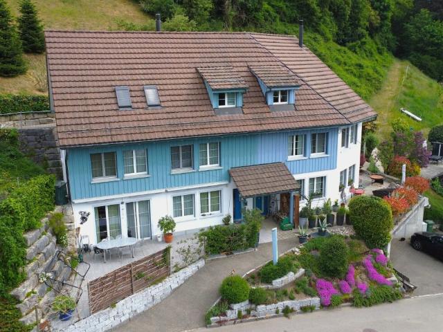 Reihenfamilienhaus kaufen in Wasterkingen, Zürich