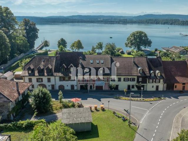Haus kaufen in Bellerive Waadt, Waadt