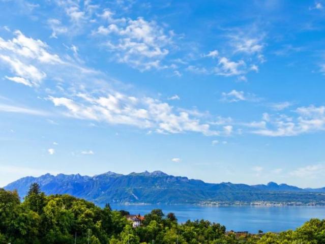 Haus kaufen in Pully, District de Lavaux-Oron