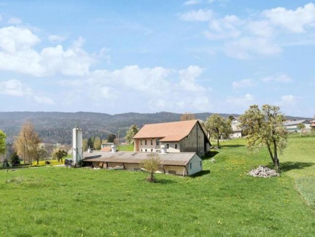 Haus mieten in Longirod, Waadt