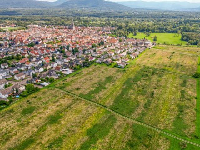 Erdgeschosswohnung kaufen in Muggensturm, Baden-Württemberg
