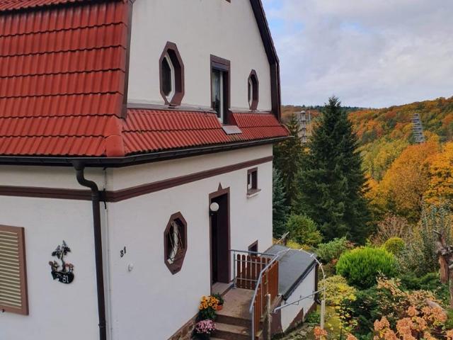 Haus kaufen in Aue, Sachsen