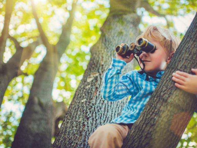 Haus kaufen in Bad Salzdetfurth, Niedersachsen