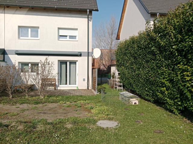 Haus kaufen in Katastralgemeinde Traiskirchen, Traiskirchen