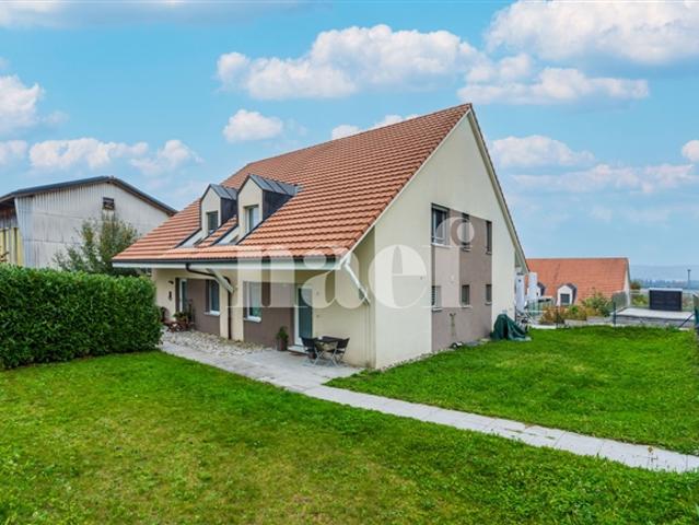 Einfamilienhaus kaufen in Villars-le-Grand, Waadt