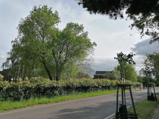 Haus kaufen in Lindenberg, Ahrensfelde