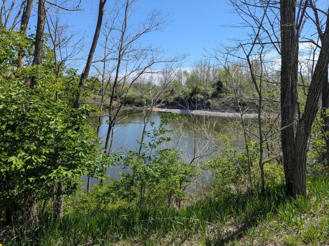 Land for sale in Johnsonville, Danville
