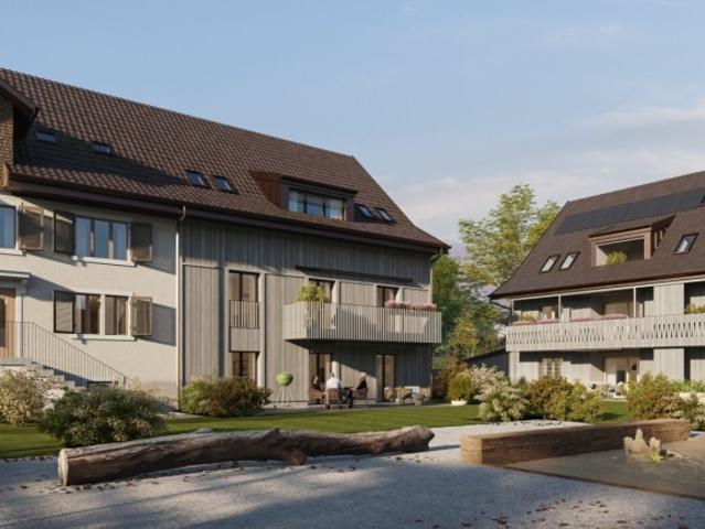 Einfamilienhaus kaufen in Gossau (ZH), Zürich