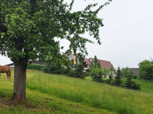Erdgeschosswohnung kaufen in Dorfhain, Sachsen