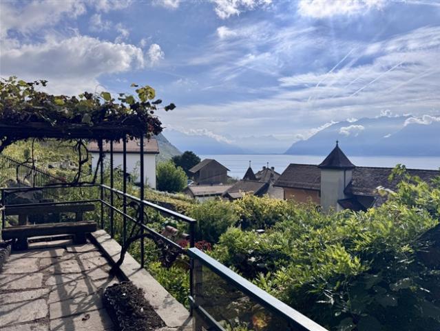 Einfamilienhaus kaufen in Bourg-en-Lavaux, Waadt