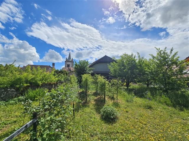 Einfamilienhaus kaufen in Cossonay-Ville, Waadt