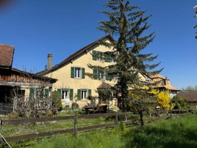 Einfamilienhaus kaufen in Echandens, Waadt