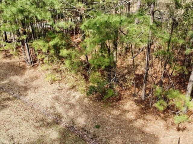 Land for sale in Oriental, Pamlico County