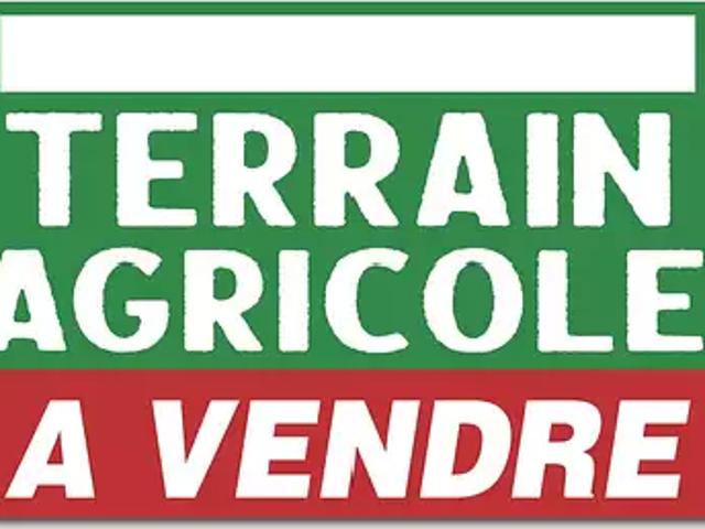 Terrain vente à Tournon-sur-Rhône, Dornas