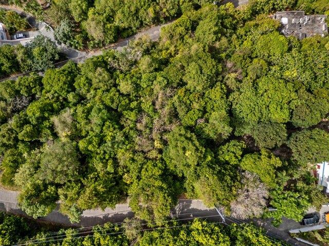 Land for sale in Saint Thomas, Missouri