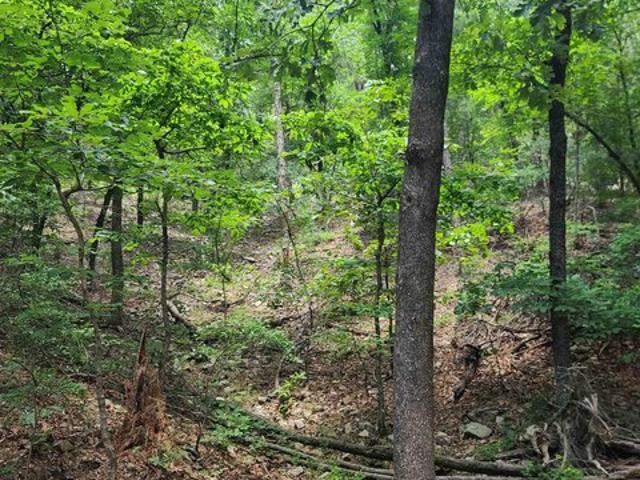 Land for sale in Ark