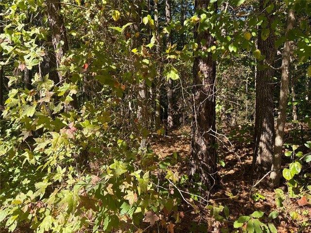 Land for sale in Douglasville, Douglas County