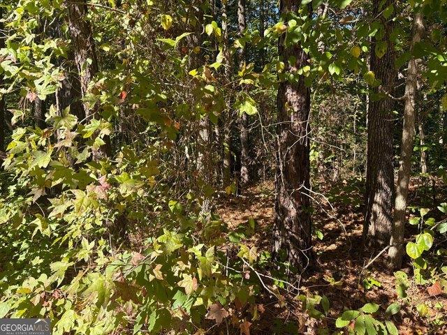 Land for sale in Douglasville, Douglas County