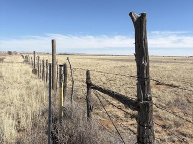 Land for sale in Moriarty, New Mexico