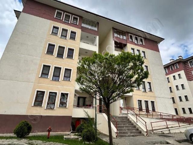 Afyon Merkez, Afyonkarahisar içerisinde kiralık mülk