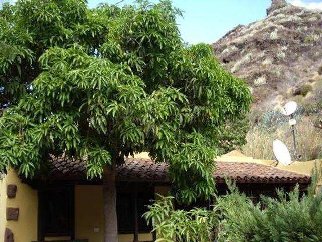 Casa en alquiler en Gran Canaria