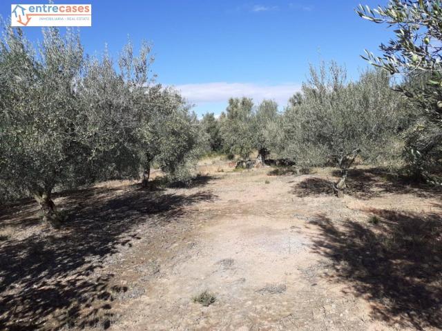 Terreno en venta en l'Alt Palància, Valencia