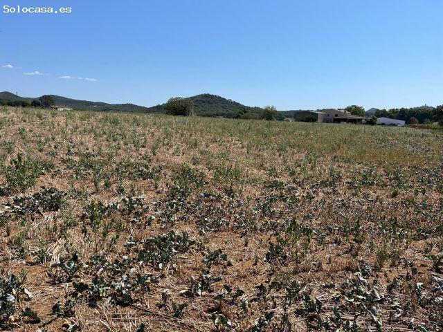 Local Comercial en venta en Maresme, Catalunya