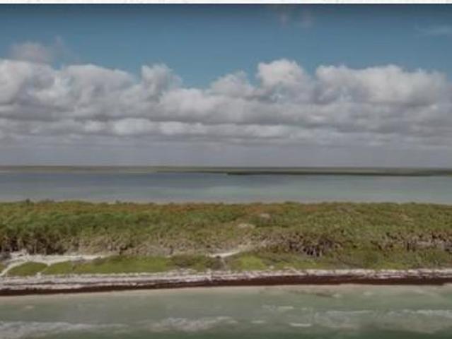 Dos terrenos en Sian Kaan, frental al mar y laguna