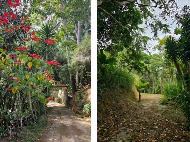 Terreno en venta en Francisco Linares Alcántara, Miranda