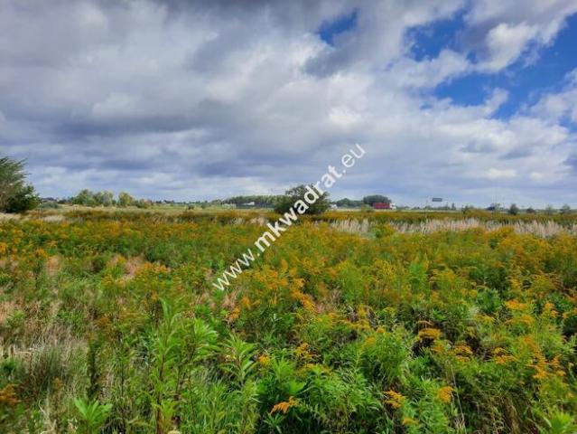 Grunt na sprzedaż w Raszyn, Mazowieckie