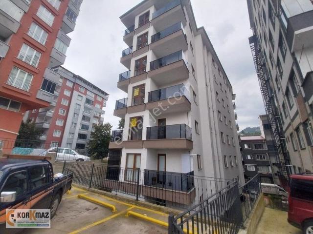 Atmeydanı Mahallesi, Rize Merkez içerisinde kiralık mülk
